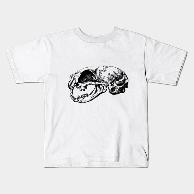 Anatomical Cat Skull  | Animal Skeleton | Anatomical Art | Veterinarian Gift | Medical Student Gift Kids T-Shirt by kaleighdayart